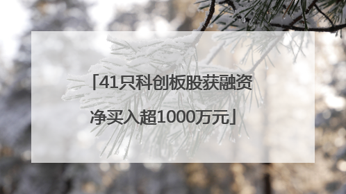 41只科创板股获融资净买入超1000万元