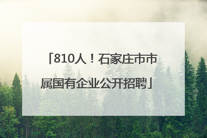 810人！石家庄市市属国有企业公开招聘
