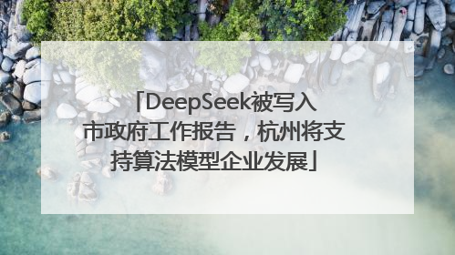 DeepSeek被写入市政府工作报告，杭州将支持算法模型企业发展